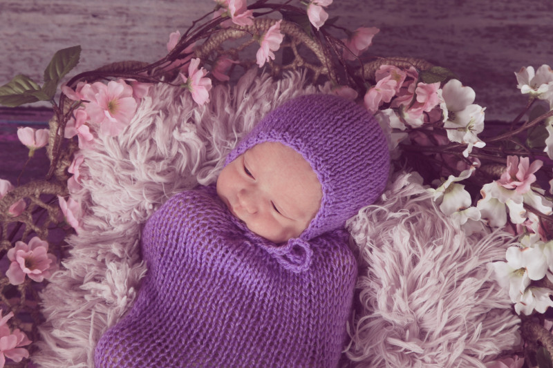 buffalo-newborn-photography-newborn-set10.jpg
