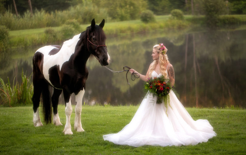 Bride with horse photo