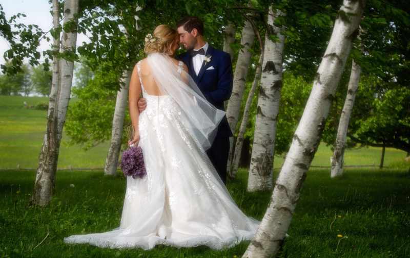 outdoor wedding at Knox Farm