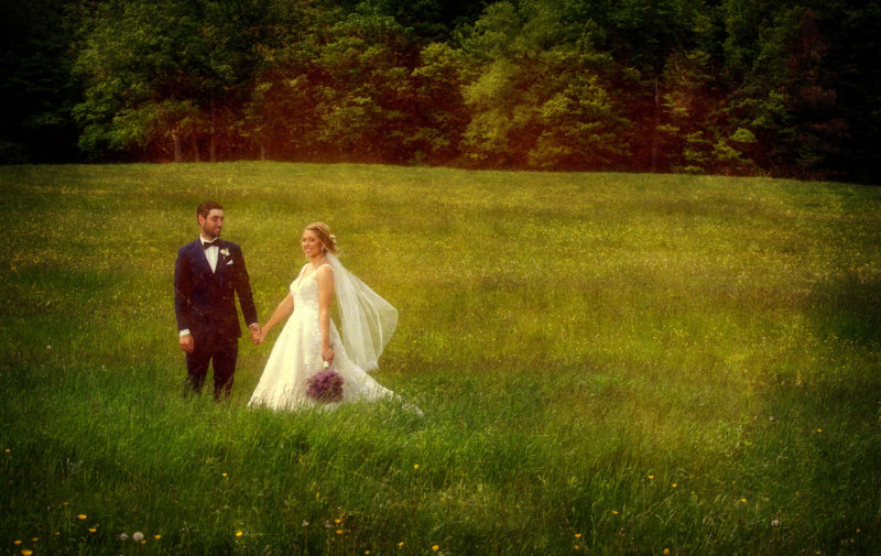 knox farm wedding photography